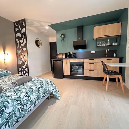 Apartment La Feuilleraie N2-standingappart-wifi-proche