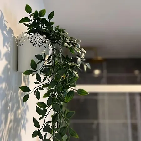 Appartamento La Feuilleraie N2-standingappart-wifi-proche Fontenay-le-Comte