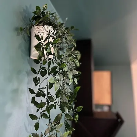 La Feuilleraie N2-standingappart-wifi-proche * Fontenay-le-Comte