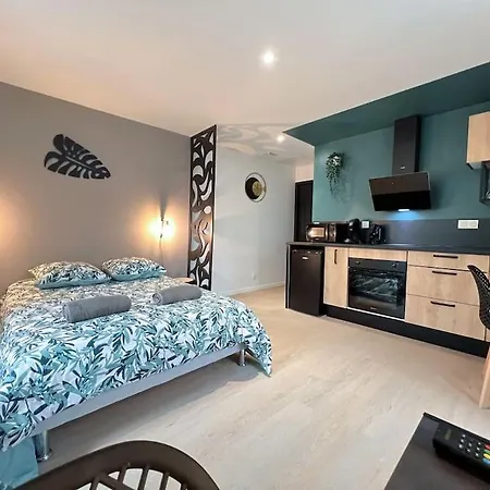 Apartment La Feuilleraie N2-standingappart-wifi-proche