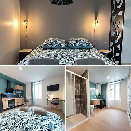 La Feuilleraie N2-standingappart-wifi-proche Appartamento Fontenay-le-Comte