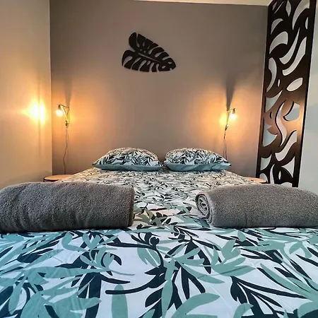 Apartment La Feuilleraie N2-standingappart-wifi-proche Fontenay-le-Comte
