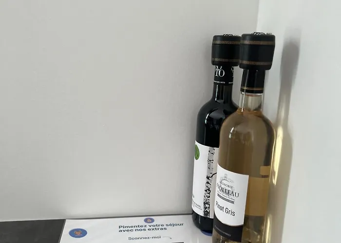 شقة La Feuilleraie N2-standingappart-wifi-proche *