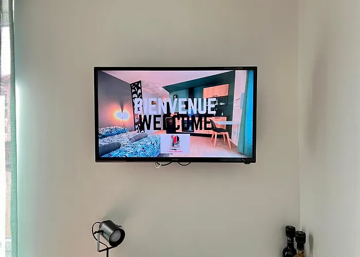 La Feuilleraie N2-standingappart-wifi-proche شقة *