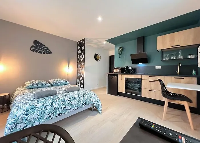 La Feuilleraie N2-standingappart-wifi-proche شقة فونتيناي لو كومت