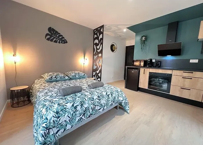 La Feuilleraie N2-standingappart-wifi-proche * فونتيناي لو كومت