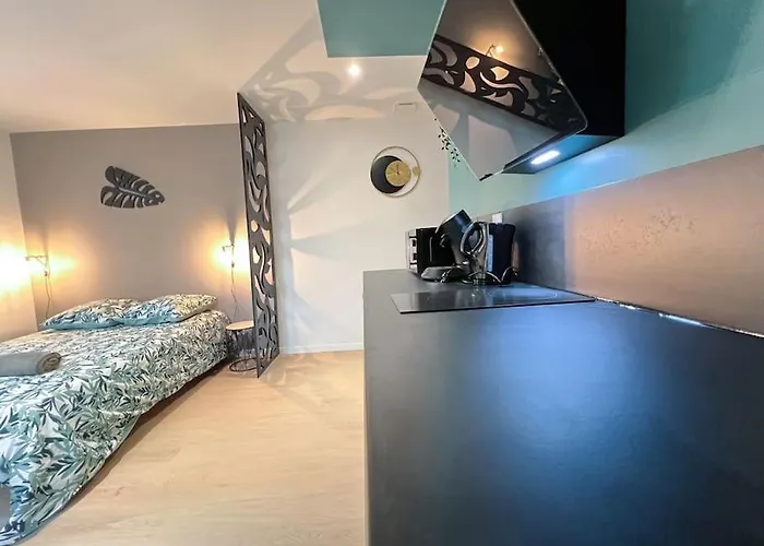 La Feuilleraie N2-standingappart-wifi-proche فونتيناي لو كومت