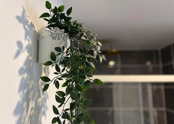 شقة La Feuilleraie N2-standingappart-wifi-proche فونتيناي لو كومت