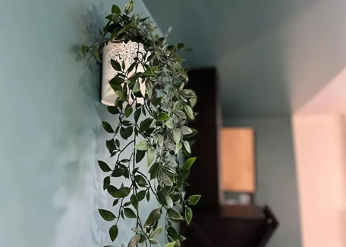 La Feuilleraie N2-standingappart-wifi-proche * فونتيناي لو كومت