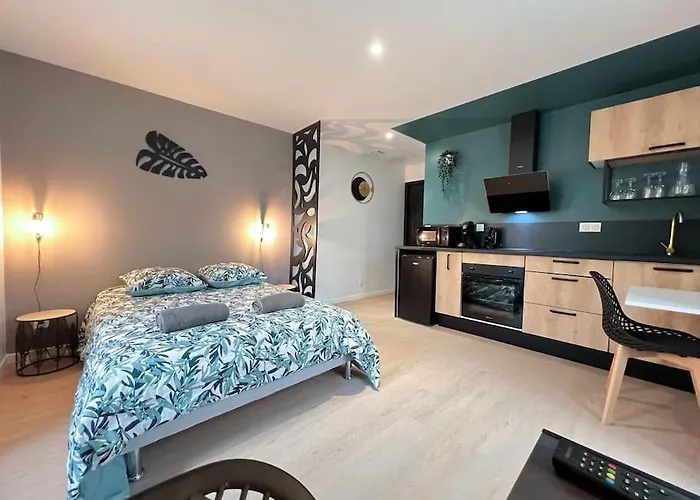 شقة La Feuilleraie N2-standingappart-wifi-proche