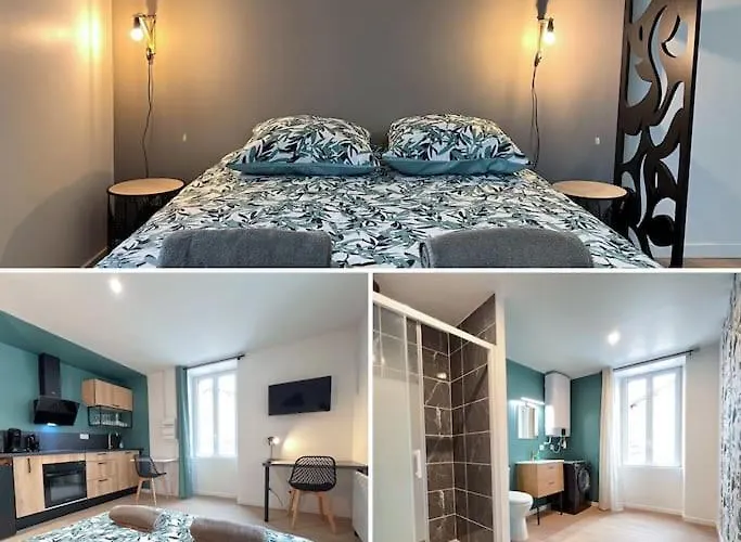 La Feuilleraie N2-standingappart-wifi-proche شقة فونتيناي لو كومت